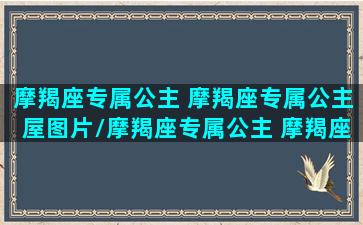 摩羯座专属公主 摩羯座专属公主屋图片/摩羯座专属公主 摩羯座专属公主屋图片-我的网站